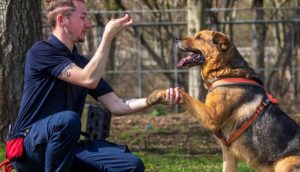 Dog Training Fun at the Fairgrounds (Winter–Spring Session)