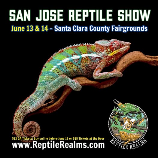 San Jose Reptile Show