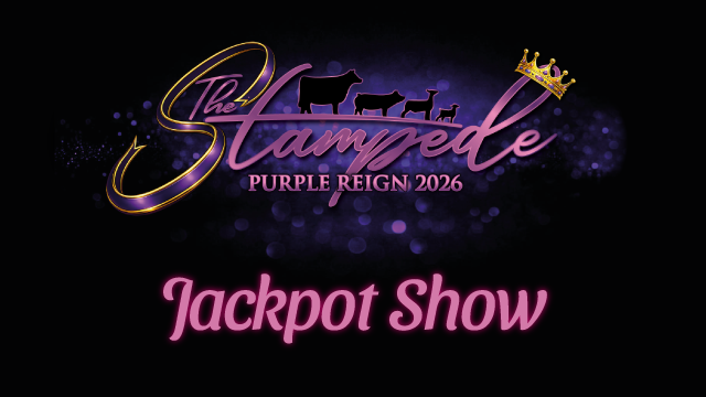 The Stampede Jackpot Show Purple Reign