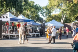 International Park, Santa Clara County Fairgrounds
