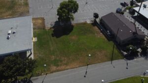Lawn Between Turf Club and Fiesta