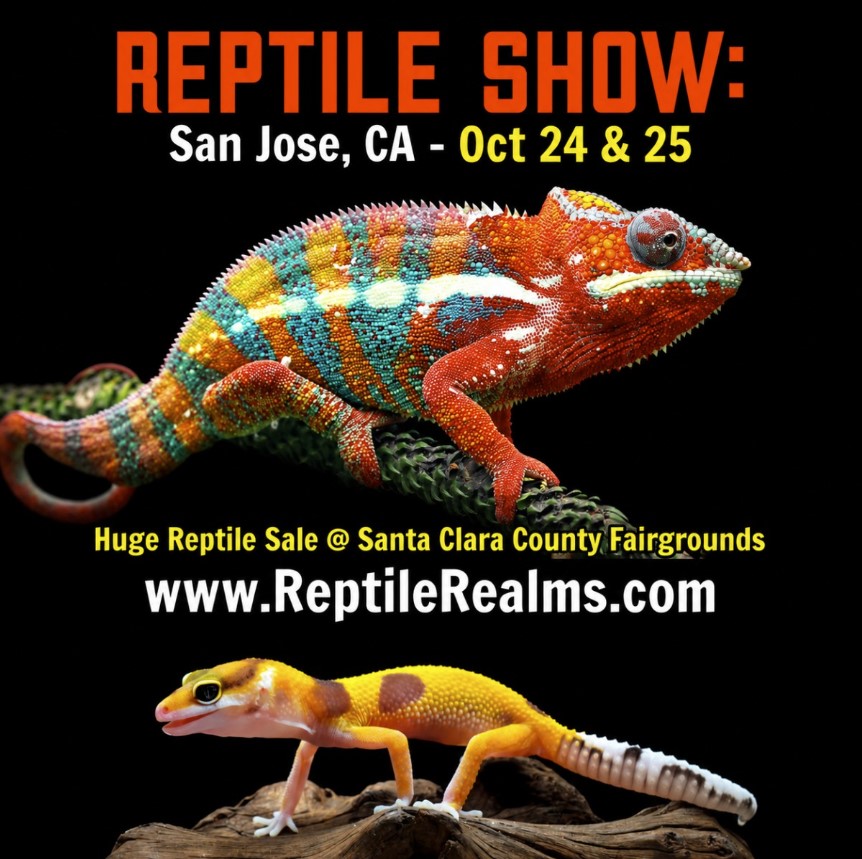 San Jose Reptile Show October
