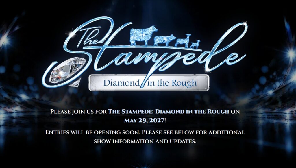 The Stampede – Diamond in the Rough
